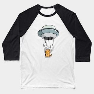 cat Baseball T-Shirt